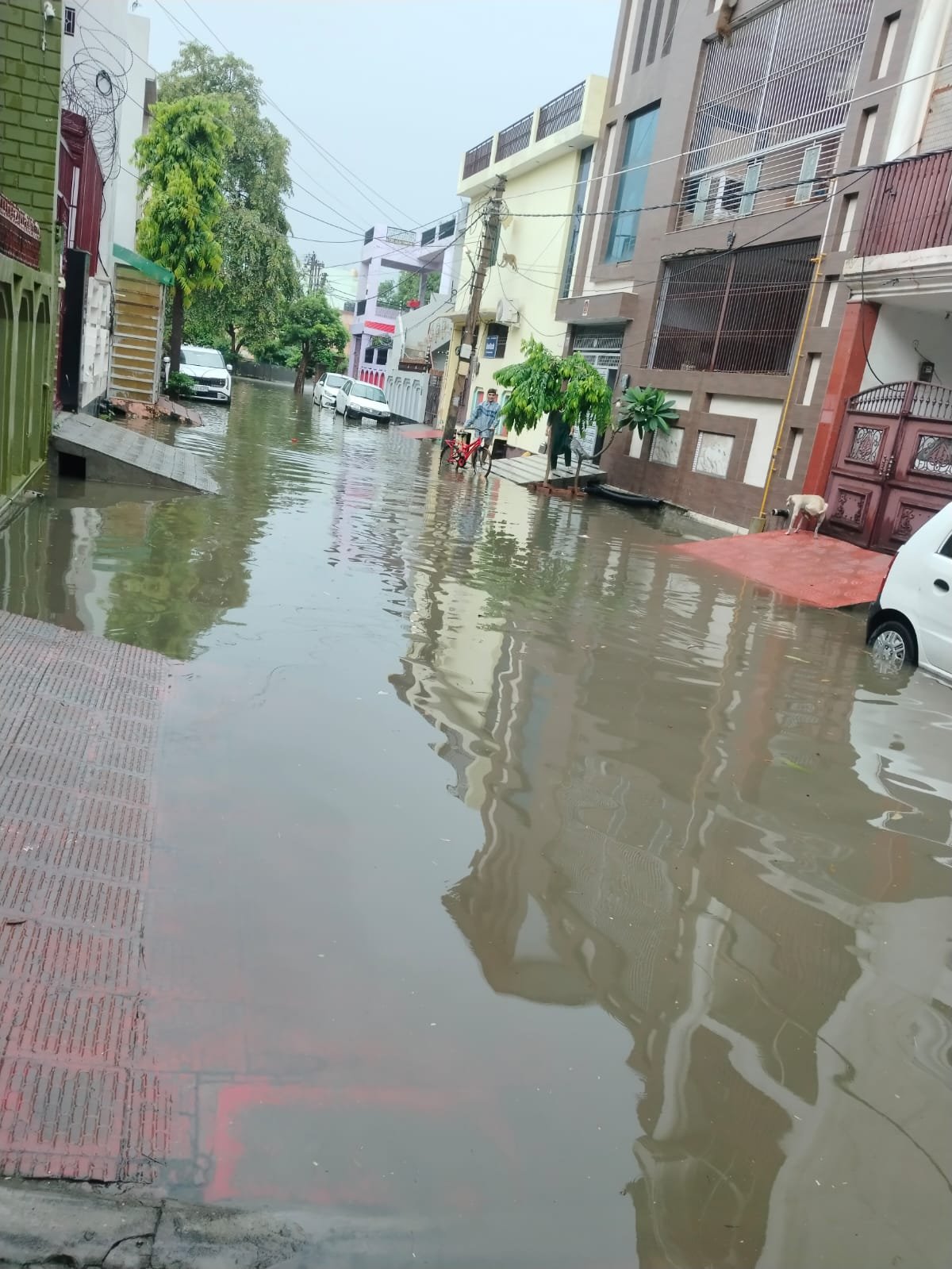 बारिश ने खोली व्यवस्थाओं की पोल, हरी एनक्लेव कॉलोनी में घुटनों तक जलभराव से लोग परेशान