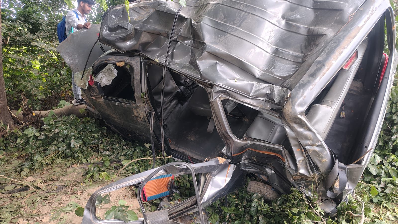 दाऊजी मेला देखकर लौट रहे युवकों की ईको पेड़ से टकराई, 10 घायल